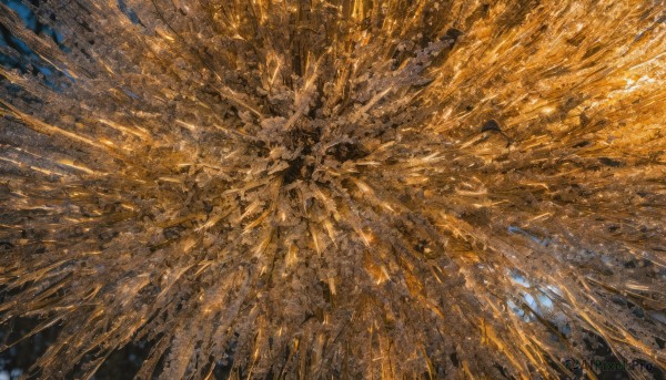An iconic abstract framed by a inviting background