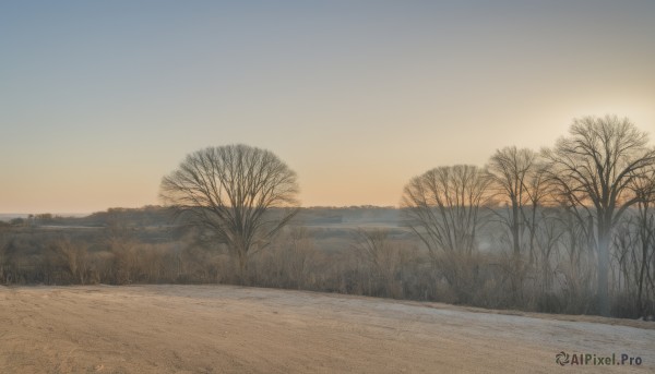 outdoors,sky,cloud,tree,blue sky,no humans,grass,nature,scenery,forest,sunset,sand,road,bare tree,evening,landscape,gradient sky,orange sky,sunrise,water,beach,horizon,shore,desert