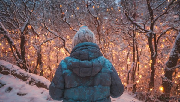 The elegance of a unique subject in a tranquil snowy outdoors