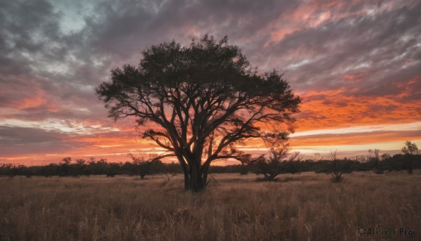A landscape surrounded by a captivating sunset outdoors