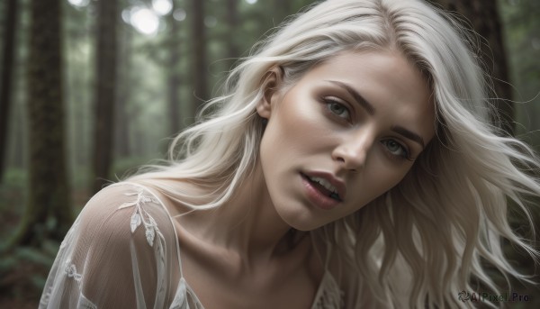 1girl,solo,long hair,looking at viewer,smile,open mouth,blonde hair,brown eyes,collarbone,upper body,white hair,outdoors,parted lips,teeth,day,blurry,tree,lips,head tilt,see-through,grey eyes,depth of field,blurry background,portrait,nature,forest,freckles,realistic,eyelashes,sunlight,thick eyebrows,nose