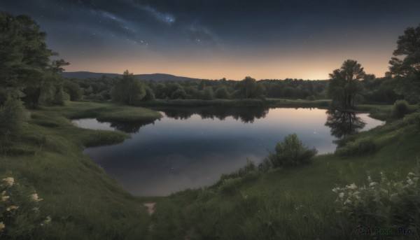 outdoors,sky,cloud,water,tree,no humans,night,grass,plant,star (sky),nature,night sky,scenery,forest,starry sky,reflection,sunset,horizon,river,landscape,lake,flower,mountain,gradient sky,reflective water