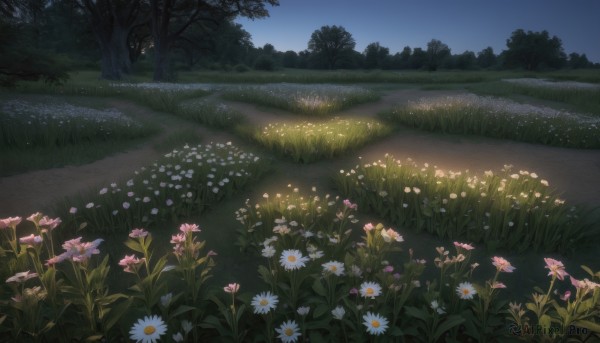 flower,outdoors,sky,day,tree,no humans,night,grass,plant,white flower,nature,night sky,scenery,forest,field,flower field,pink flower,road,bush,path,daisy