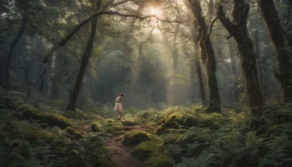 1girl, solo, hat, dress, outdoors, tree, sunlight, grass, nature, scenery, forest, light rays, sunbeam