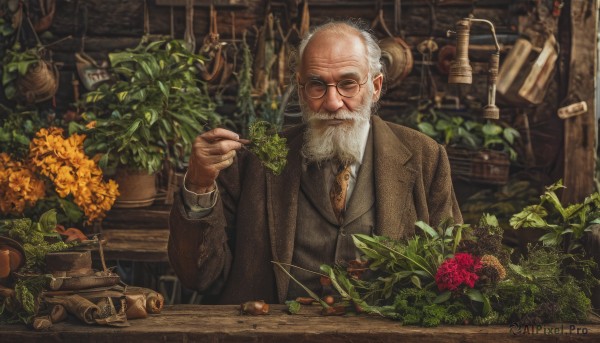 solo,looking at viewer,shirt,long sleeves,1boy,holding,closed mouth,jacket,white shirt,upper body,flower,white hair,grey hair,male focus,food,necktie,horns,glasses,collared shirt,indoors,hand up,vest,coat,facial hair,formal,table,suit,plant,red flower,beard,brown jacket,round eyewear,mustache,potted plant,old,old man,brown necktie,closed eyes,leaf,facing viewer,watch,realistic,bald,smoking pipe,brown vest,orange flower