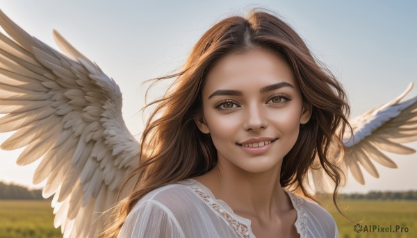 1girl,solo,long hair,looking at viewer,smile,open mouth,brown hair,shirt,brown eyes,collarbone,white shirt,upper body,outdoors,wings,sky,teeth,day,white dress,blurry,lips,depth of field,blurry background,portrait,feathered wings,forehead,angel wings,realistic,white wings,angel,field,grin,blue sky,thick eyebrows