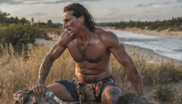 solo,black hair,1boy,navel,jewelry,sitting,closed mouth,male focus,outdoors,sky,shorts,day,dark skin,medium hair,water,necklace,blurry,tree,muscular,blurry background,facial hair,scar,abs,dark-skinned male,grass,blue shorts,topless male,realistic,field,dirty,river,tooth necklace,short hair,brown hair,nipples,closed eyes,sweat,cloud,stomach,pectorals,muscular male,beard,toned,riding,chest hair,death,arm hair,corpse,severed head,veiny arms