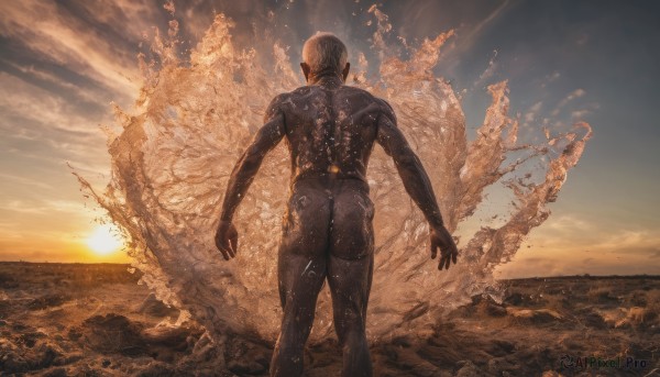 solo,short hair,1boy,standing,ass,male focus,outdoors,sky,cloud,from behind,dutch angle,bodysuit,muscular,back,muscular male,scenery,science fiction,sunset,rock,realistic,sun,facing away,explosion,ocean,floating,walking,horizon,black bodysuit,bald,open hands,alien,debris