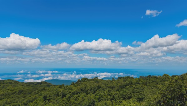 outdoors,sky,day,cloud,signature,water,tree,blue sky,no humans,ocean,cloudy sky,grass,nature,scenery,forest,horizon,landscape