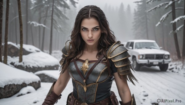 1girl,solo,long hair,breasts,looking at viewer,smile,blue eyes,brown hair,black hair,gloves,brown eyes,closed mouth,upper body,multicolored hair,outdoors,belt,dark skin,armor,blurry,two-tone hair,dark-skinned female,tree,lips,grey eyes,wavy hair,ground vehicle,shoulder armor,nature,motor vehicle,snow,brown gloves,forest,pauldrons,breastplate,snowing,realistic,car,brown belt,winter,pine tree,medium breasts,day,blurry background,grey sky