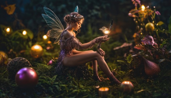A butterfly captured beautifully in a inviting outdoors