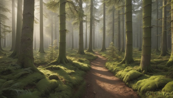 The majestic beauty of a landscape set within a ethereal day