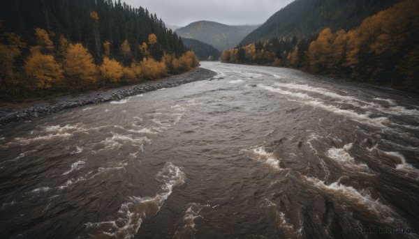 The allure of a landscape in a inviting rainy day