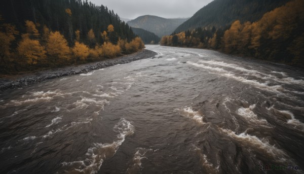 outdoors,sky,day,cloud,water,tree,no humans,ocean,beach,nature,scenery,forest,rain,mountain,river,waves,landscape,shore,grey sky,cloudy sky,sand,overcast