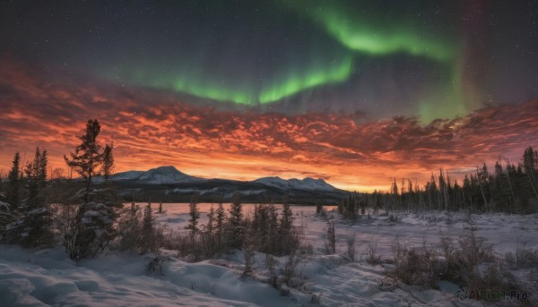 outdoors,sky,cloud,water,tree,no humans,night,cloudy sky,grass,star (sky),nature,night sky,scenery,snow,forest,starry sky,reflection,sunset,mountain,winter,river,landscape,lake,pine tree,aurora,bare tree