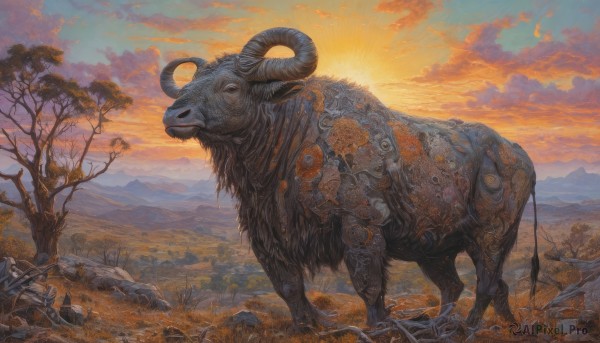The timeless beauty of a unique subject in a picturesque sunset outdoors