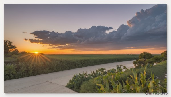 outdoors,sky,cloud,tree,no humans,border,sunlight,cloudy sky,grass,plant,nature,scenery,white border,sunset,sun,horizon,road,field,evening,landscape,gradient sky,orange sky,path,forest