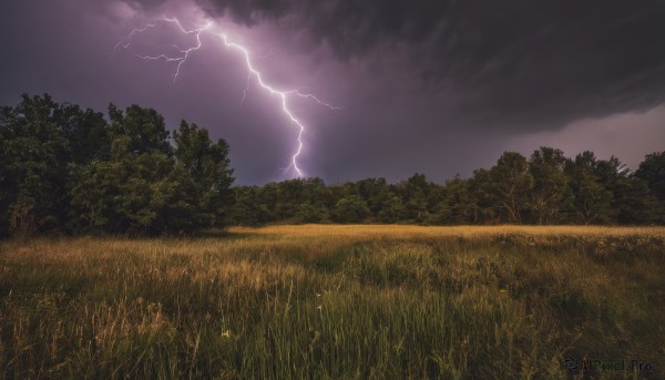 A glimpse of a lightning in a ethereal rainy outdoors