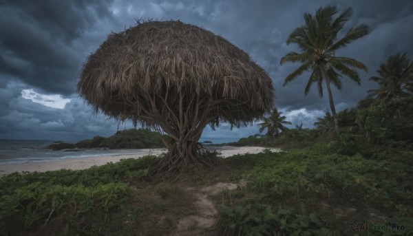 outdoors,sky,day,cloud,water,tree,no humans,ocean,beach,cloudy sky,grass,plant,nature,scenery,forest,sand,palm tree,horizon,shore,island