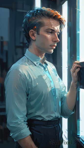 A majestic male within a vivid dynamic scene