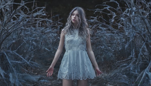 1girl,solo,long hair,looking at viewer,dress,standing,grey hair,cowboy shot,outdoors,parted lips,sleeveless,white dress,tree,lips,sleeveless dress,wavy hair,nature,forest,realistic,arms at sides,bare tree,white hair,night,dark