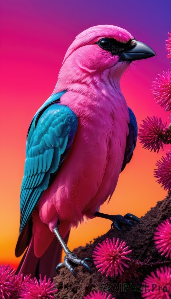 solo,standing,full body,flower,outdoors,sky,black eyes,from side,gradient,pokemon (creature),no humans,bird,animal,feathers,pink flower,sunset,realistic,animal focus,twilight,gradient sky,orange sky,talons,beak,open mouth,tree,gradient background,pink sky