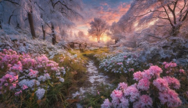 A captivating landscape within snowy outdoors