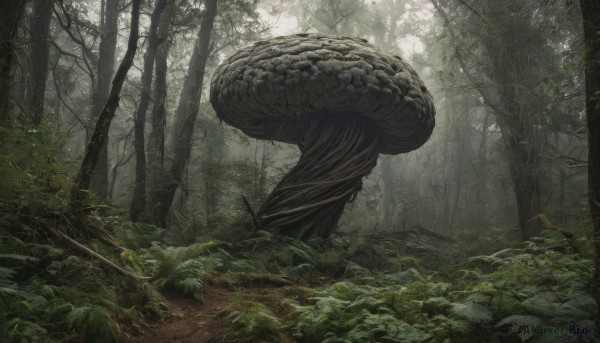 The wonder of a unique subject in a bold outdoors