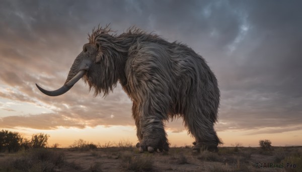 solo,standing,outdoors,horns,sky,teeth,cloud,tree,no humans,cloudy sky,grass,sharp teeth,nature,scenery,claws,sunset,monster,tusks,from side,bird,animal,creature,twilight