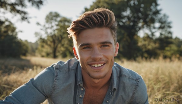 solo,looking at viewer,smile,short hair,blue eyes,brown hair,shirt,1boy,jacket,upper body,male focus,outdoors,open clothes,teeth,day,grin,blurry,tree,blurry background,facial hair,denim,beard,realistic,stubble,denim jacket,open mouth,striped,collared shirt,depth of field,half-closed eyes,blue shirt,portrait,meme,unbuttoned,chest hair,photo background