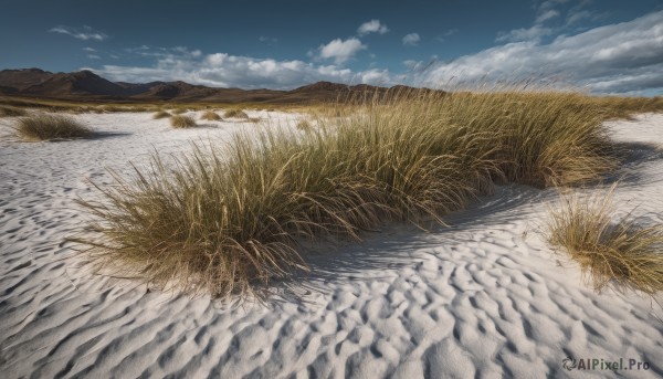 The majestic beauty of a landscape set within a ethereal day
