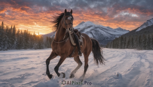 solo,weapon,outdoors,sky,cloud,tree,no humans,animal,cloudy sky,nature,scenery,snow,1other,forest,sunset,mountain,riding,winter,horse,evening,orange sky,horseback riding,reins,saddle,twilight,landscape,mountainous horizon,pine tree