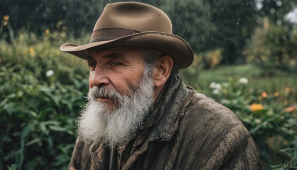 solo,looking at viewer,1boy,hat,closed mouth,jacket,upper body,white hair,grey hair,male focus,outdoors,artist name,signature,blurry,coat,blurry background,facial hair,plant,portrait,beard,brown jacket,mature male,realistic,mustache,brown headwear,manly,old,brown coat,old man,flower,depth of field,thick eyebrows,nature,forest,wrinkled skin