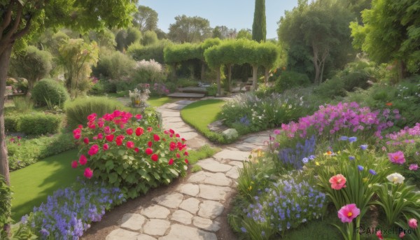 A garden in a picturesque day