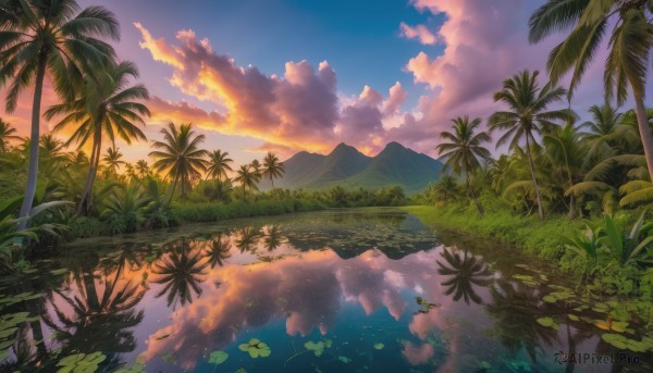 outdoors, sky, cloud, water, tree, no humans, cloudy sky, grass, plant, nature, scenery, reflection, sunset, mountain, palm tree, lake, reflective water