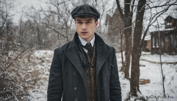 solo,looking at viewer,shirt,black hair,long sleeves,1boy,hat,brown eyes,jacket,white shirt,upper body,male focus,outdoors,necktie,collared shirt,blurry,black eyes,vest,tree,lips,coat,black jacket,black headwear,nature,black necktie,snow,forest,black coat,snowing,realistic,winter,bare tree,brown vest,photo background,brown necktie,short hair,parted lips,open clothes,day,striped,blurry background,wing collar,building,open coat,black vest,house,grey sky