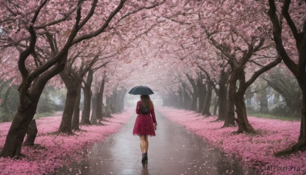 1girl, solo, long hair, brown hair, dress, boots, outdoors, bag, from behind, tree, petals, umbrella, cherry blossoms, scenery, walking, road, path