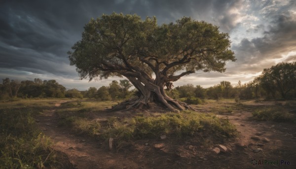 outdoors,sky,day,cloud,tree,no humans,sunlight,cloudy sky,grass,nature,scenery,forest,road,bush,landscape,path,plant,light rays,rock