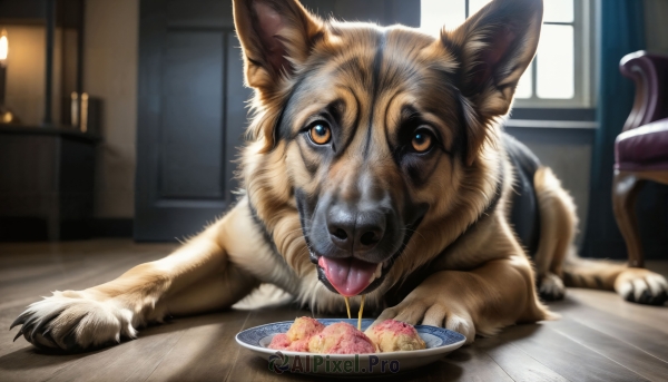 HQ,looking at viewer,brown eyes,food,tongue,indoors,tongue out,blurry,no humans,window,animal,fangs,chair,table,cat,plate,bowl,dog,realistic,animal focus,solo,open mouth,lying,signature,orange eyes,saliva,blurry background,on stomach,drooling,claws,wooden floor,brown fur,pet bowl,pet,wooden chair