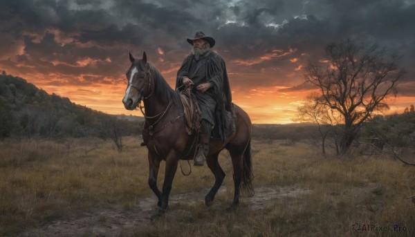 The wonder of a male in a bold sunset outdoors