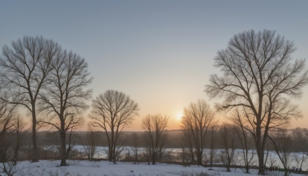 The wonder of a landscape in a peaceful snowy outdoors