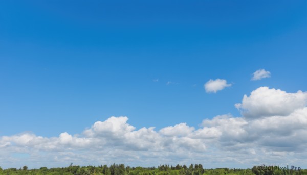 outdoors,sky,day,cloud,tree,blue sky,no humans,bird,cloudy sky,nature,scenery,forest,grass