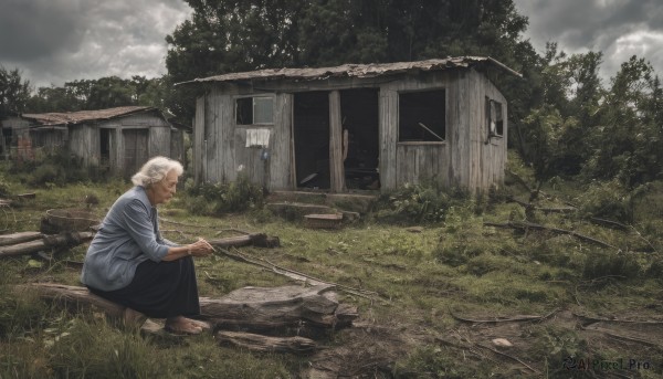 1girl,solo,short hair,skirt,shirt,sitting,white hair,outdoors,sky,barefoot,day,cloud,from side,tree,profile,cloudy sky,grass,ground vehicle,building,nature,scenery,ruins,house,old,old man,old woman,overgrown,holding,window,squatting,long skirt,realistic,stick