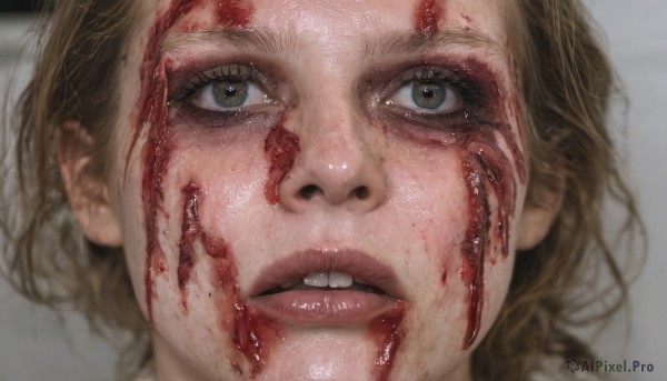 1girl,solo,looking at viewer,short hair,open mouth,brown hair,1boy,brown eyes,male focus,parted lips,teeth,blurry,lips,eyelashes,blood,portrait,close-up,blood on face,realistic,nose,blonde hair,green eyes,freckles,injury,eye focus