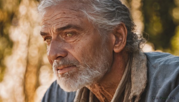 solo,1boy,brown eyes,closed mouth,yellow eyes,upper body,white hair,grey hair,male focus,japanese clothes,blurry,blurry background,facial hair,scar,portrait,beard,realistic,mustache,manly,old,old man,wrinkled skin,lips,looking to the side,depth of field,close-up,nose,looking afar