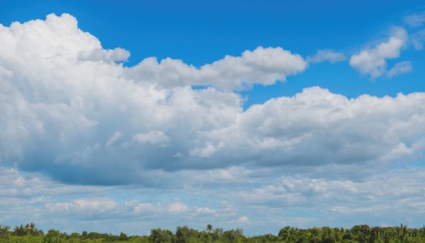 outdoors,sky,day,cloud,tree,blue sky,no humans,cloudy sky,nature,scenery,forest,grass