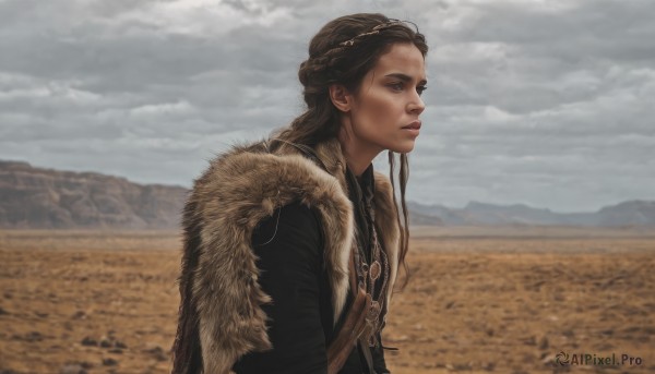 1girl,solo,long hair,blue eyes,brown hair,jewelry,closed mouth,upper body,braid,outdoors,sky,day,cloud,necklace,cape,blurry,from side,lips,looking to the side,fur trim,profile,looking away,cloudy sky,mountain,realistic,nose,looking afar,field,grey sky,coat,freckles