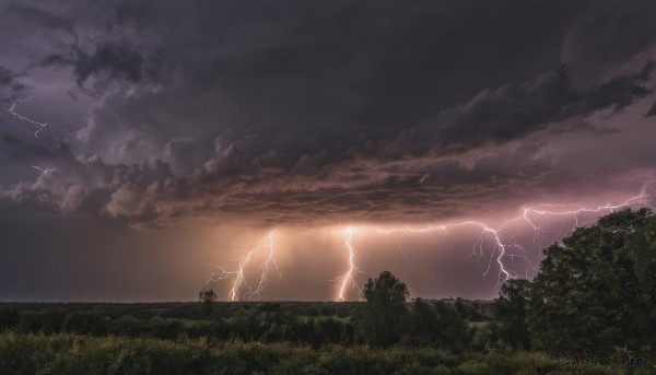 outdoors,sky,cloud,tree,no humans,cloudy sky,grass,nature,scenery,forest,electricity,lightning,landscape,ground vehicle,motor vehicle,sunset