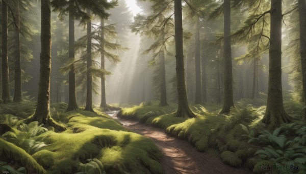 A captivating landscape within day