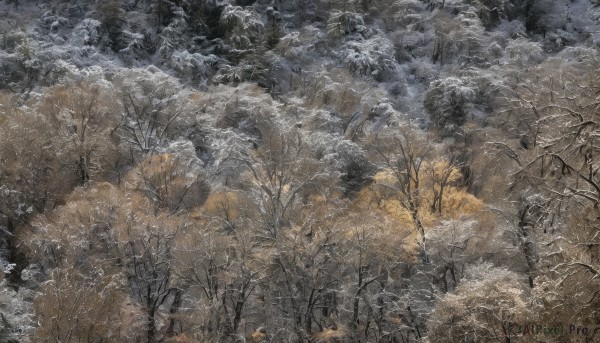 A majestic image of a landscape in outdoors